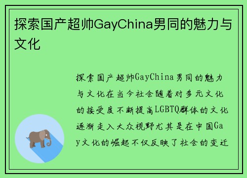 探索国产超帅GayChina男同的魅力与文化